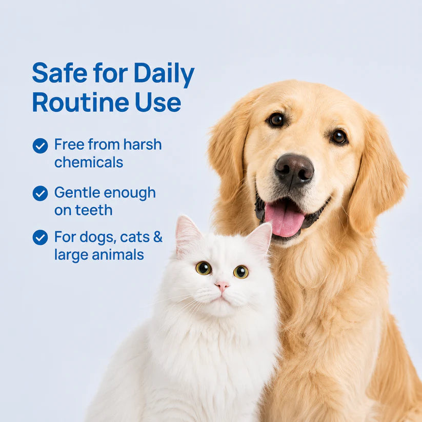 Qooes®Cat Teeth Cleaning Finger Wipes