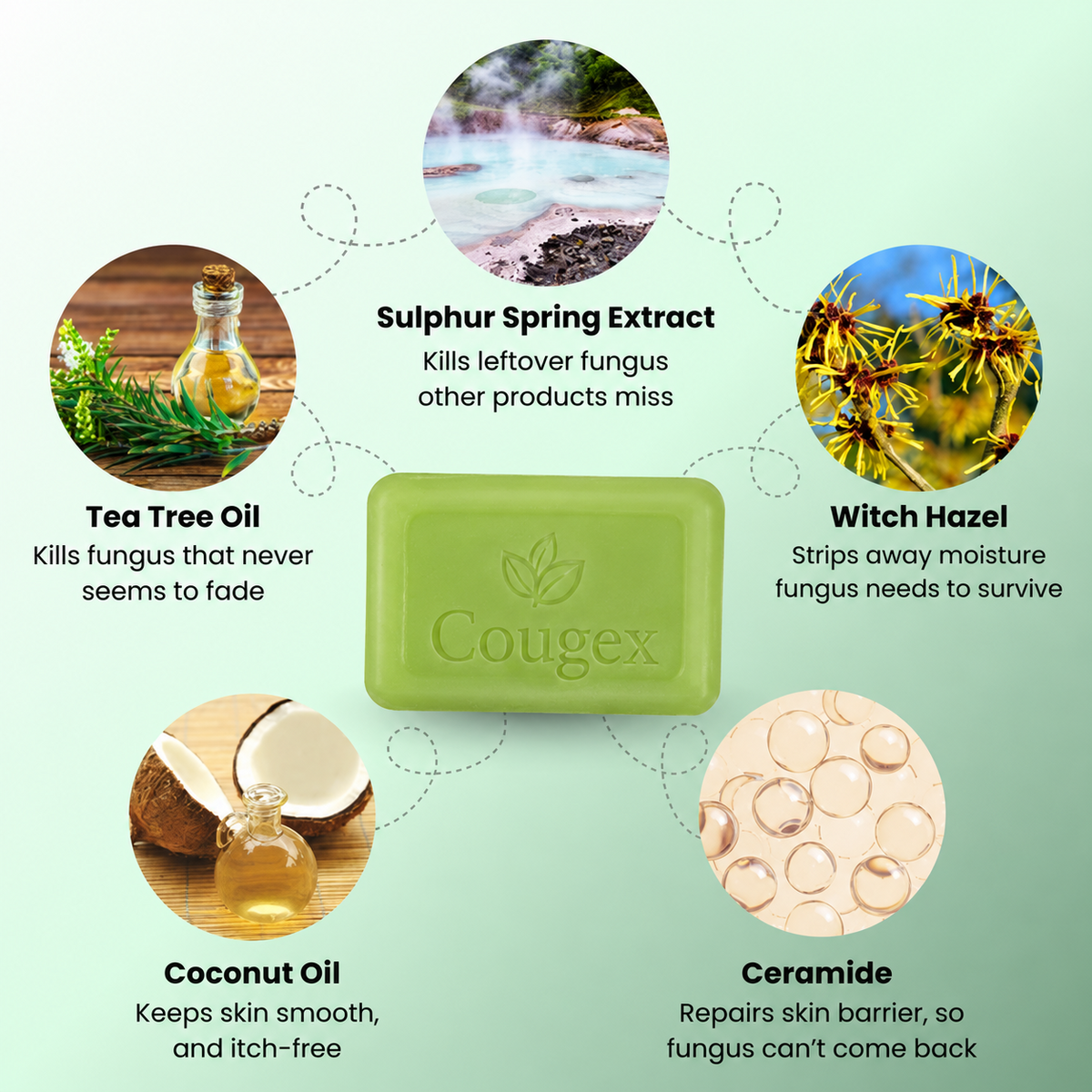 Cougex ingredient overview