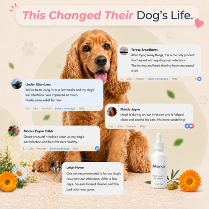 🐾 Alisanda Dog Ear Cleansing & Comfort Drops – Gentle Daily Ear Care✨