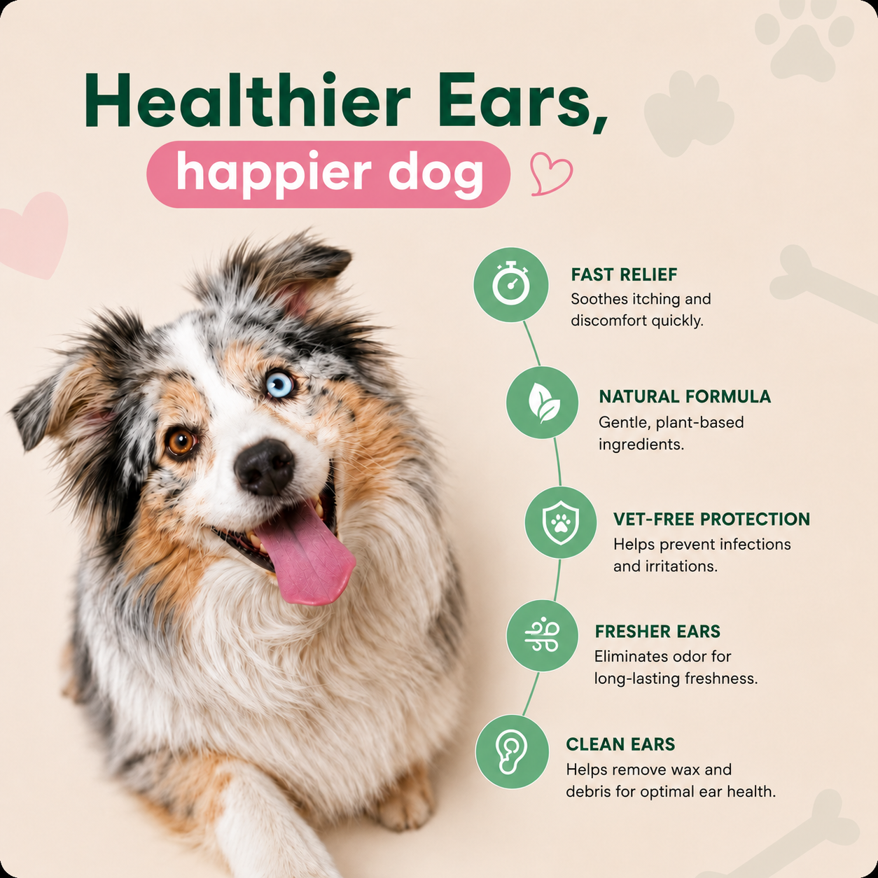 🐾 Alisanda Dog Ear Cleansing & Comfort Drops – Gentle Daily Ear Care✨