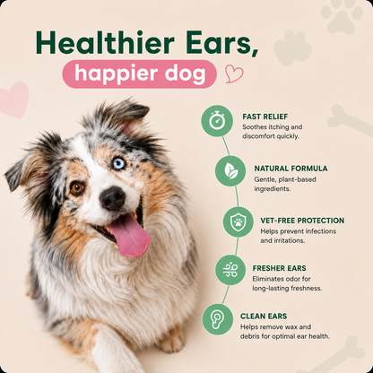 🐾 Alisanda Dog Ear Cleansing & Comfort Drops – Gentle Daily Ear Care✨