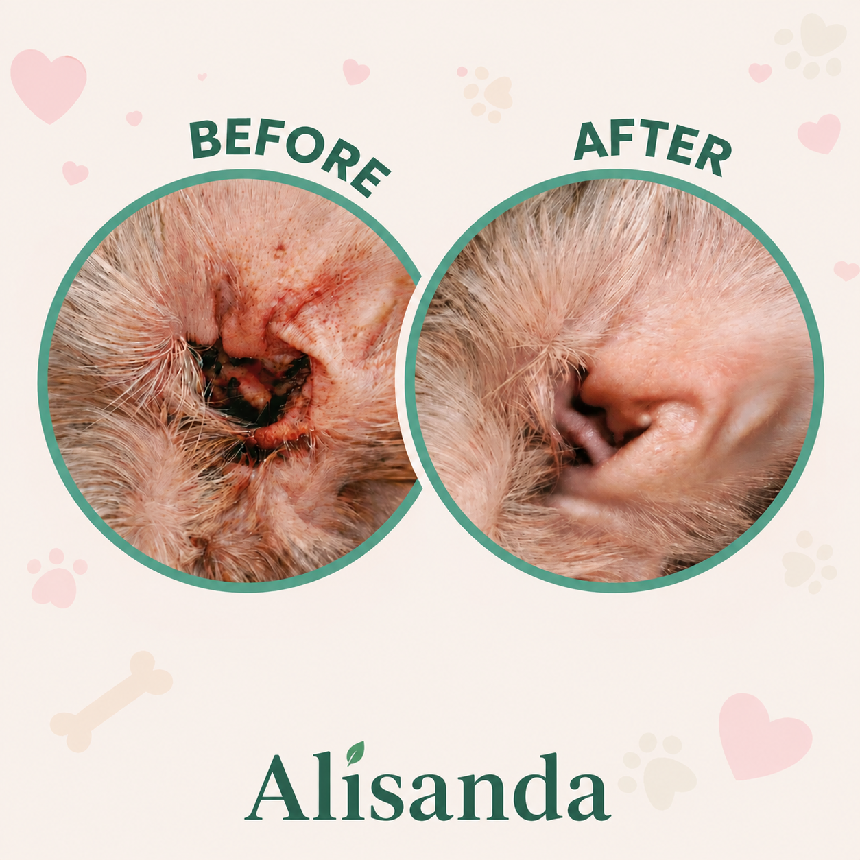 🐾 Alisanda Dog Ear Cleansing & Comfort Drops – Gentle Daily Ear Care✨