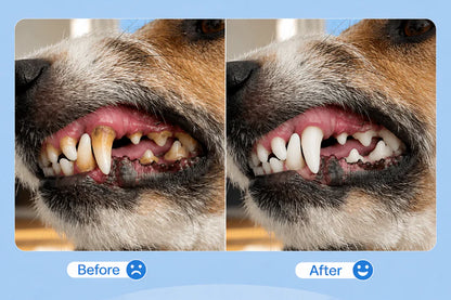 Qooes®Cat Teeth Cleaning Finger Wipes