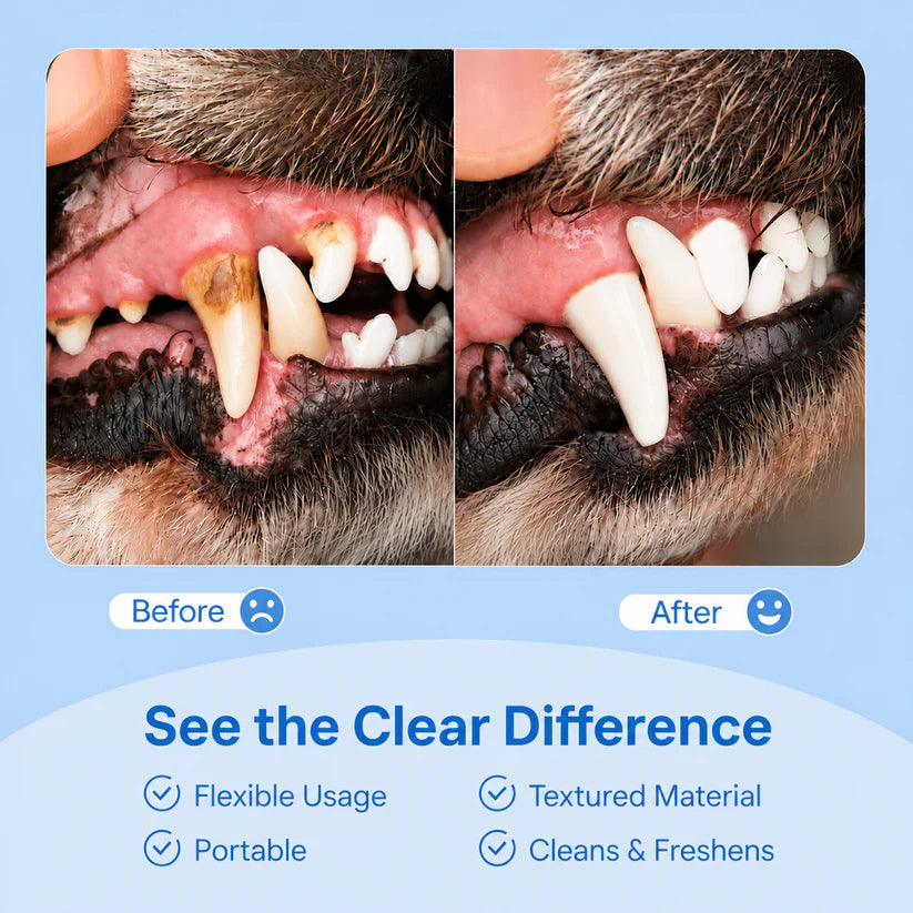 Qooes®Cat Teeth Cleaning Finger Wipes